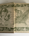 1949 TREES - YEARBOOK OF AGRICULTURE Excellent USDA Hardcover Book