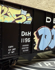 Aristo craft ART 41425 Delaware & Hudson 100 Ton Hopper Graffiti G Scale LN/BOX