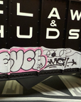 Aristo craft ART 41425 Delaware & Hudson 100 Ton Hopper Graffiti G Scale LN/BOX